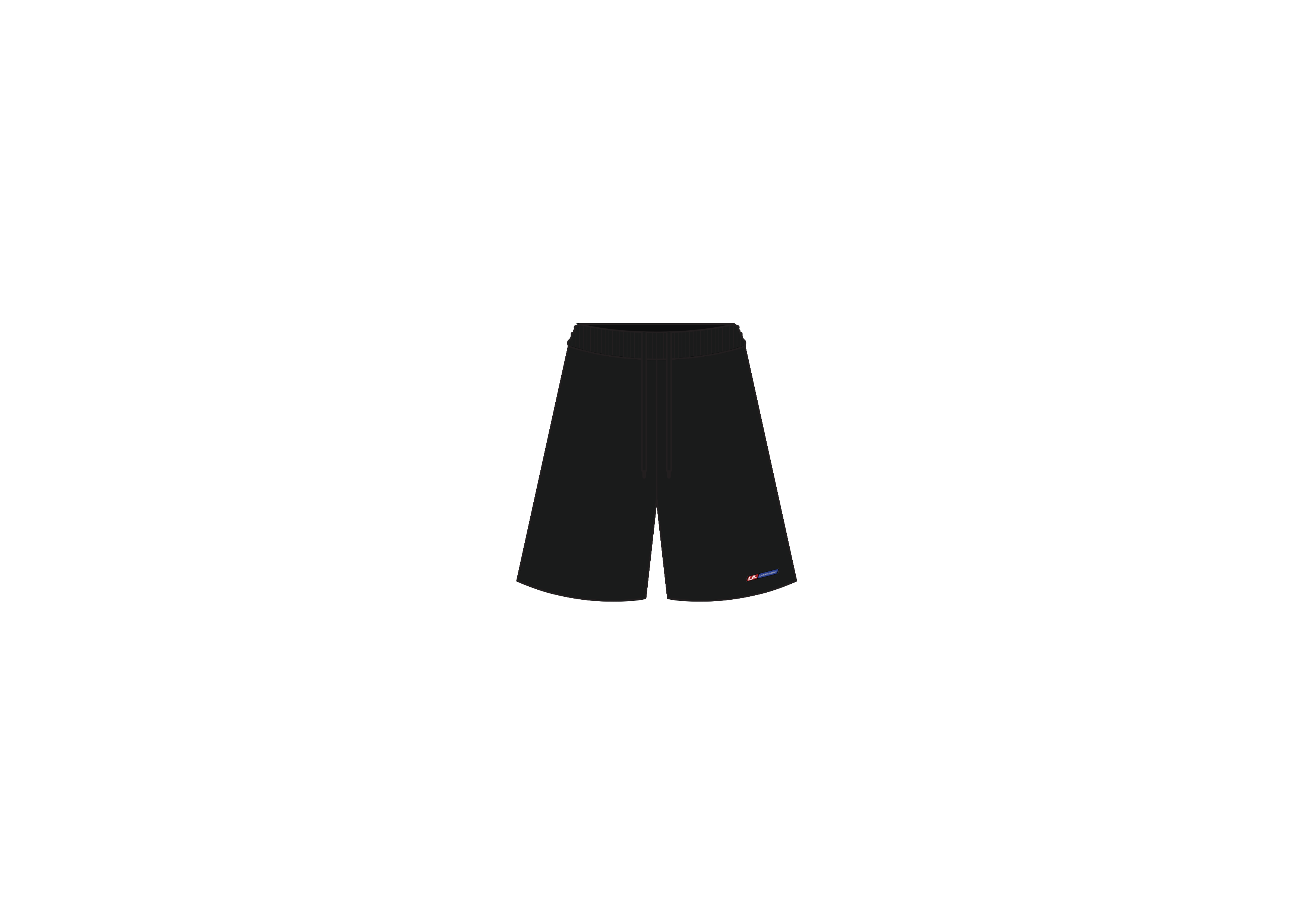 BALLHOG MESH SHORTS IN BLACK