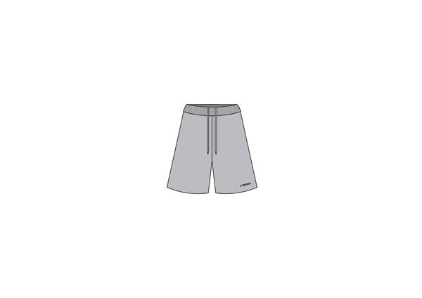 BALLHOG MESH SHORTS IN SILVER